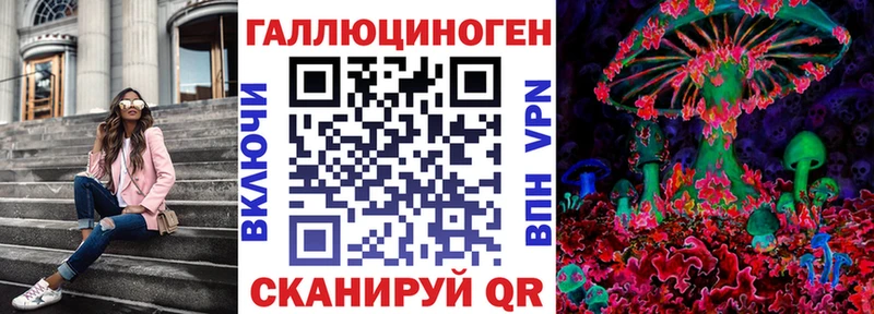 MEGA tor  Бирюсинск  Галлюциногенные грибы Psilocybine cubensis 